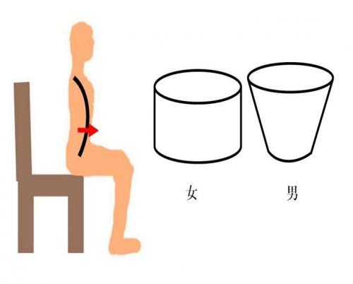 「男女の骨盤の違い」の回答画像2