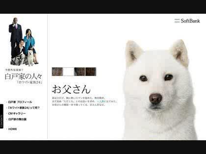 「イラッとくるCM」の回答画像10