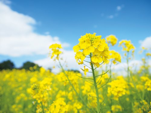 「令和時代になって、早 半年以上過ぎました」の回答画像23