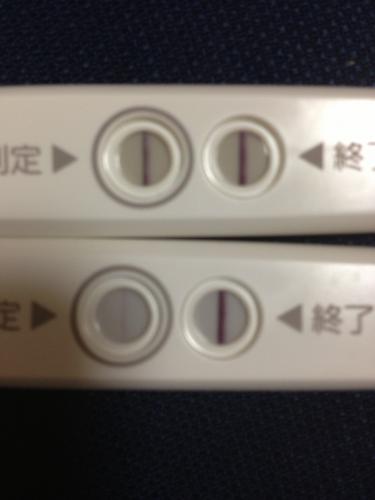 「妊娠初期の流産について。」の質問画像