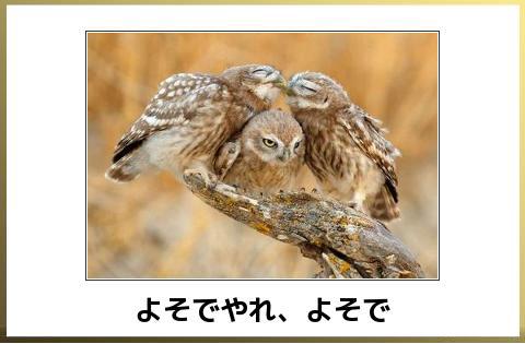 「自殺?」の回答画像4