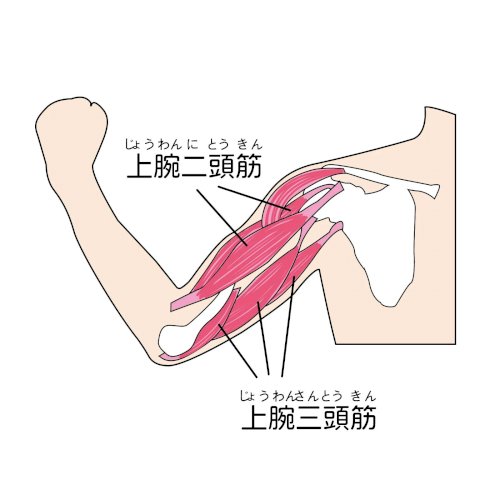 「筋トレの数値目標はどのように定めると良い」の回答画像3