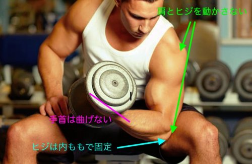 「筋トレ診断」の回答画像4