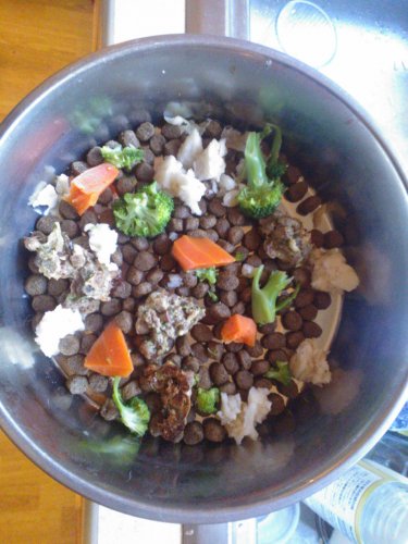 「老犬の食欲」の回答画像2