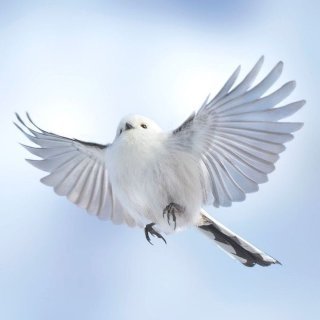 「上と下のコントロール」の回答画像16