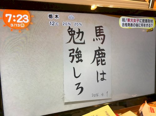「頼朝と義経」の回答画像6