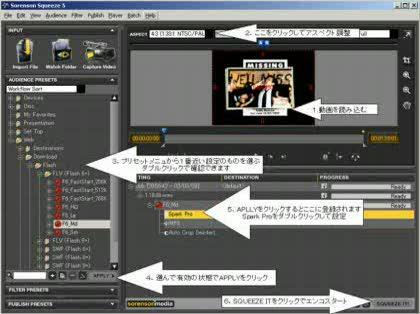 「Sorenson SqueezeでAVI」の回答画像4