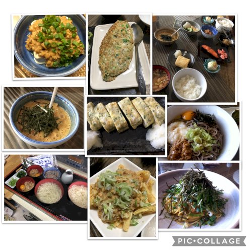 「納豆の美味しい食べ方 どんなふうに納豆を」の回答画像8
