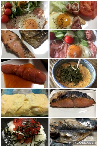 「朝ご飯。ご飯と味噌汁もう一品?」の回答画像9