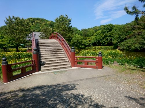 「月の船゚・*:.。..。.:+・゚゚・*」の回答画像165