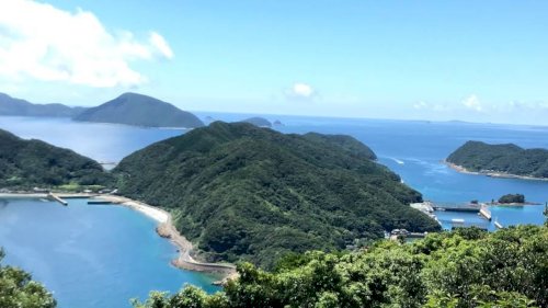 「大好きだった昭和のギャグ (ネタ)ありま」の回答画像80