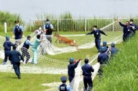 「日本人は馬鹿ですか?こんな物、最初から入」の回答画像8