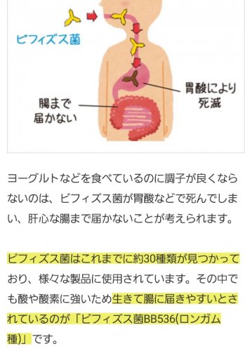 「ビフィズス菌ロンガムは生きて腸に届きやす」の回答画像1