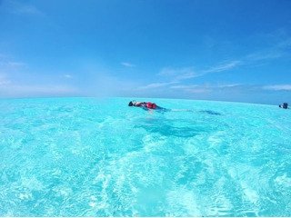 「とっておきの写真♪ 最近の、、 旅先、日」の回答画像4