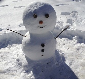 「先週は、関東でも雪が降りましたね。 雪で」の質問画像