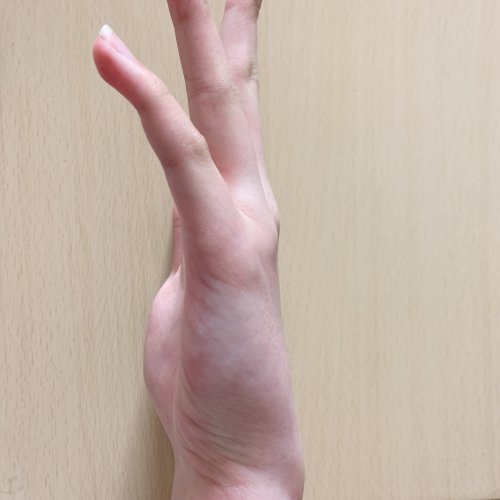 「軽音サークルに入ってギターやベースをして」の質問画像