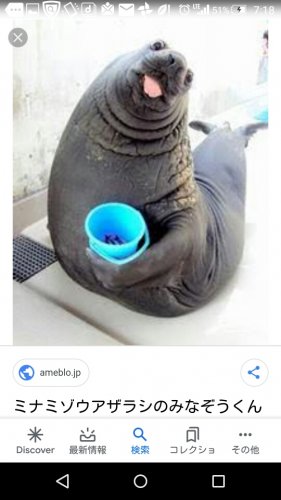 「【ベンチ】リニューアルいたしました。」の回答画像961