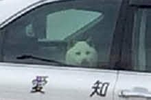 「おはようございます❗️☺️ 今日も良い一」の回答画像34