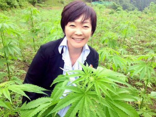 「大麻で町おこしってヤバくないですか?」の回答画像4