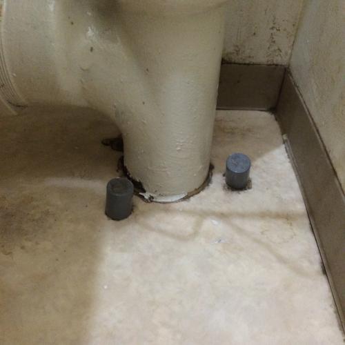 「トイレに栄養剤のような容器について」の質問画像