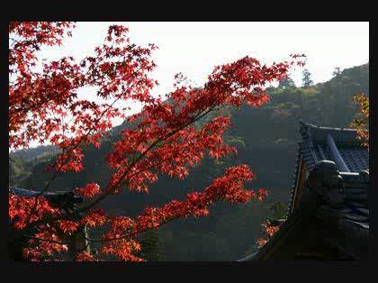 「京都・天龍寺の写真ですが、なんという建物」の回答画像2