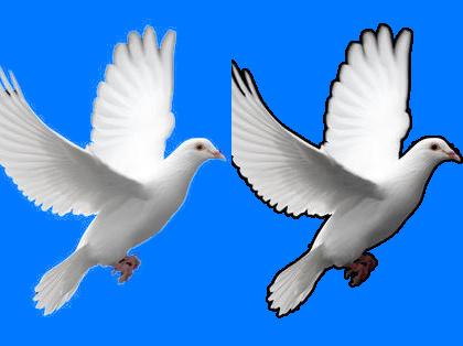 「背景画像 透過」の回答画像7