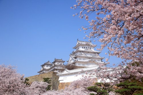 「日本のお城といえばなんですか?」の回答画像12