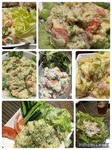 「ポテトサラダとかぼちゃサラダに共通するサ」の回答画像7