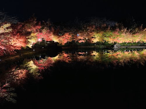「とっておきの写真♪ 最近の、、 旅先、日」の回答画像5