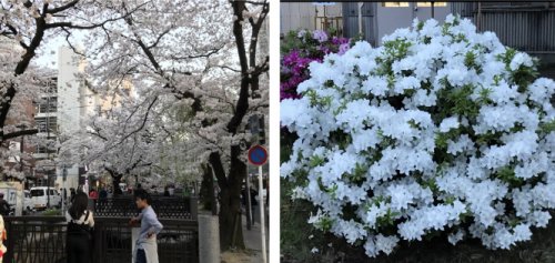 「皆さま、写真好きな方が多いように思います」の回答画像32