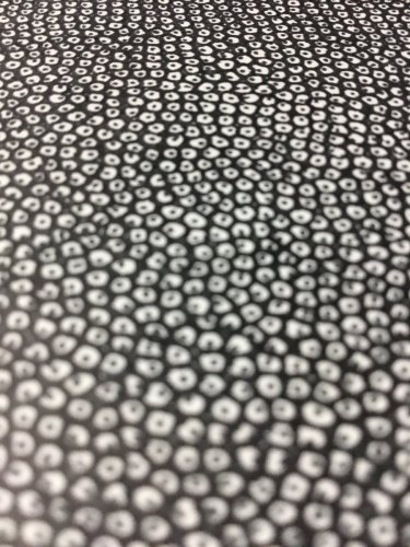 「ちんこに白い粒が大量に……」の質問画像