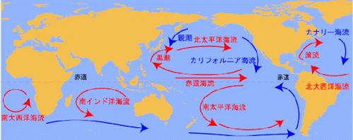 「東日本大地震の津波で流されたものは、どこ」の回答画像3