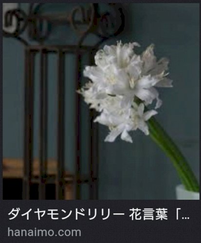 「【謎かけ】&【雑談】しませんか? ⭐雑談」の回答画像170