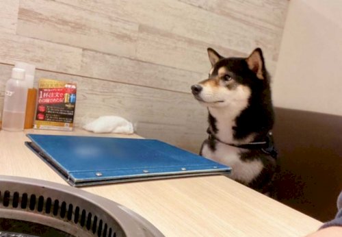 「『○○つき』の○に入る言葉 (((*〃Ü」の回答画像19