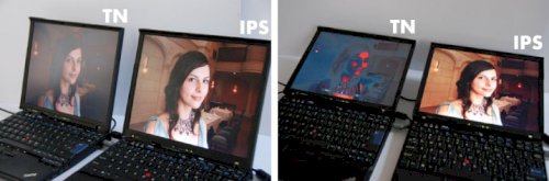 「ps5を買おうと思います。テレビを持って」の回答画像2