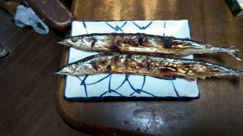 「【謎かけ】&【雑談】しませんか? ⭐雑談」の回答画像2040