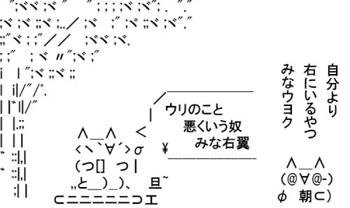 「日本って左翼ほど日本政府や法制度や体制側」の回答画像6