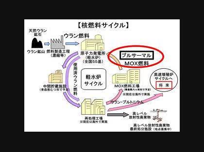 「核燃サイクル―もはや机上の空論だ」の質問画像