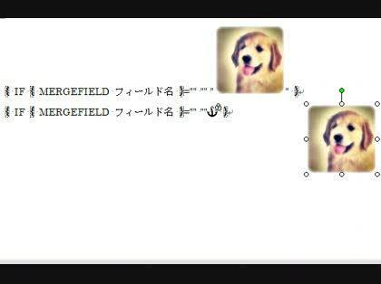 「wordの差し込み印刷で特定の画像を差し」の回答画像2