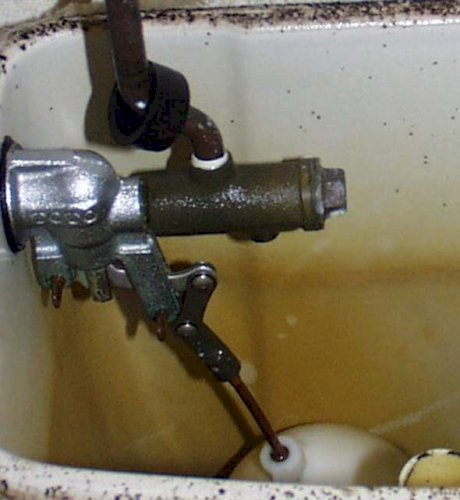 「トイレのタンクの給水が止まってしまいまし」の質問画像