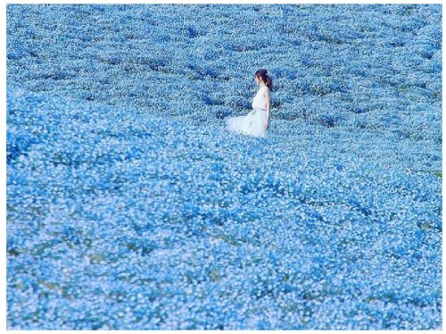「月の船゚・*:.。..。.:+・゚゚・*」の回答画像140