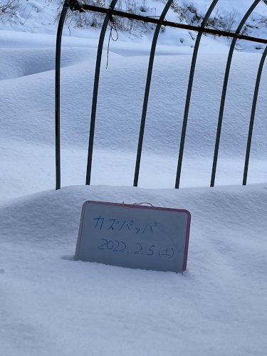 「皆さま、今日のお昼ご飯は何を食べるおつも」の回答画像13