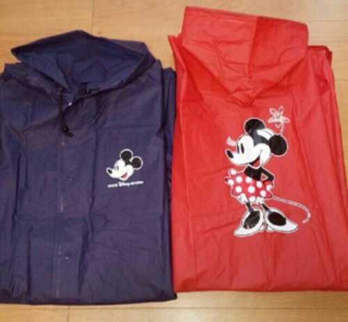 「明日明後日とディズニーリゾートに行きます」の回答画像3