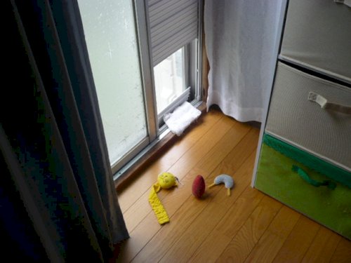 「やっぱり運って生まれ持ってあるんですか?」の回答画像7