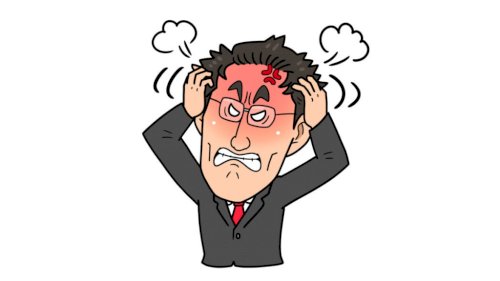 「総理としての判断をどう思いますか?」の回答画像5