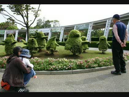 「動物の形をした植木?」の回答画像1