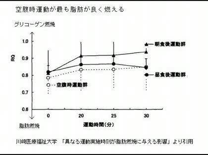 「減量目的ウォーキング時の食事について」の回答画像3