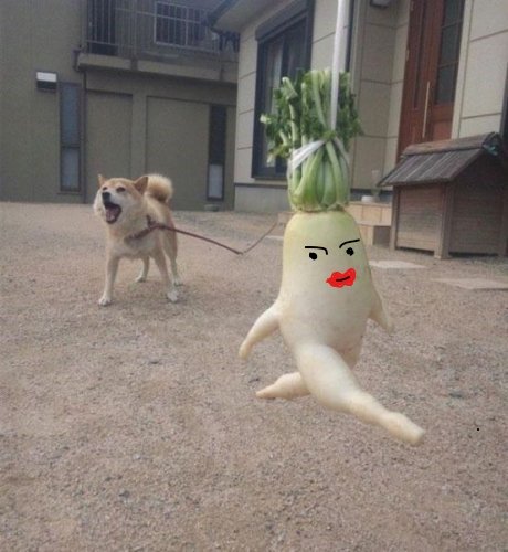 「よっしゃぁあああああああああああああああ」の回答画像2