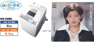 「山口百恵(ふう)の歌のタイトルが愛称の電」の質問画像