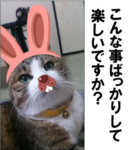 「世の中のお母さんに2つ質問です。 中学生」の回答画像3